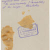 Wilbur Wright Photograph -2